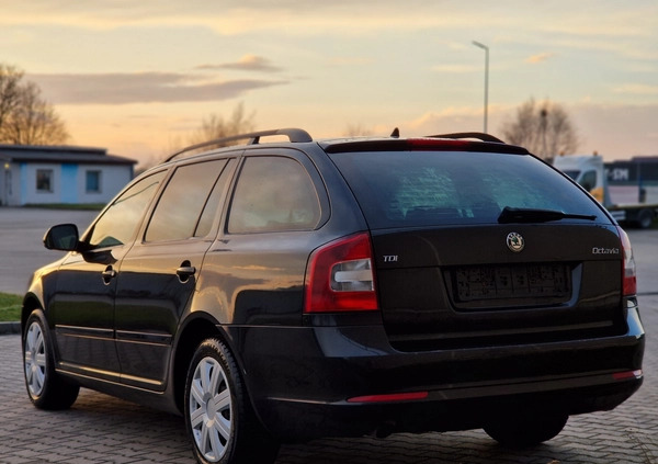 Skoda Octavia cena 16900 przebieg: 231000, rok produkcji 2010 z Żary małe 254